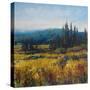 Pacific Northwest I-Tim O'toole-Stretched Canvas