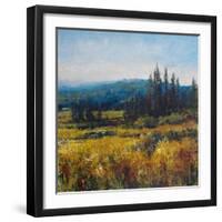 Pacific Northwest I-Tim O'toole-Framed Art Print