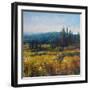 Pacific Northwest I-Tim O'toole-Framed Art Print