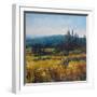 Pacific Northwest I-Tim O'toole-Framed Art Print