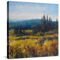 Pacific Northwest I-Tim O'toole-Stretched Canvas