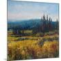 Pacific Northwest I-Tim O'toole-Mounted Art Print