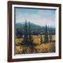 Pacific Northwest II-Tim O'toole-Framed Art Print