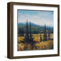 Pacific Northwest II-Tim O'toole-Framed Art Print