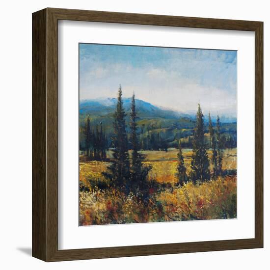 Pacific Northwest II-Tim O'toole-Framed Art Print