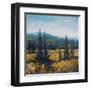 Pacific Northwest II-Tim O'toole-Framed Art Print