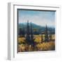 Pacific Northwest II-Tim O'toole-Framed Art Print