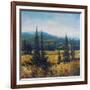 Pacific Northwest II-Tim O'toole-Framed Art Print