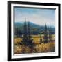 Pacific Northwest II-Tim O'toole-Framed Art Print