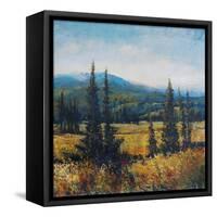 Pacific Northwest II-Tim O'toole-Framed Stretched Canvas