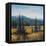 Pacific Northwest II-Tim O'toole-Framed Stretched Canvas