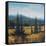 Pacific Northwest II-Tim O'toole-Framed Stretched Canvas