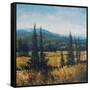 Pacific Northwest II-Tim O'toole-Framed Stretched Canvas