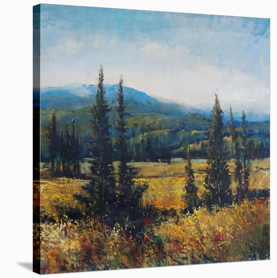 Pacific Northwest II-Tim O'toole-Stretched Canvas