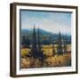 Pacific Northwest II-Tim O'toole-Framed Art Print