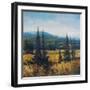 Pacific Northwest II-Tim O'toole-Framed Art Print