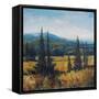 Pacific Northwest II-Tim O'toole-Framed Stretched Canvas