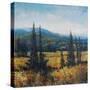 Pacific Northwest II-Tim O'toole-Stretched Canvas
