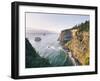 Pacific Northwest Oregon VII-Adam Mead-Framed Photographic Print