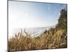 Pacific Northwest Oregon VIII-Adam Mead-Mounted Photographic Print