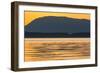 Pacific Northwest Sunset, Haro Strait, Saturna Island, British Columbia, Canada, North America-Michael Nolan-Framed Photographic Print