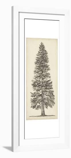 Pacific Northwest Tree Sketch I-Melissa Wang-Framed Art Print