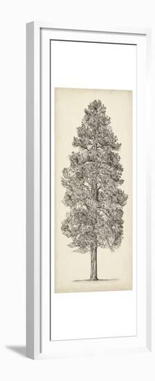 Pacific Northwest Tree Sketch III-Melissa Wang-Framed Premium Giclee Print