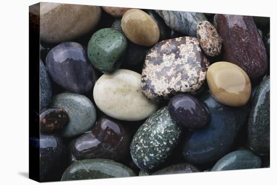 Pacific Northwest USA, Colorful River Rocks-Michele Westmorland-Stretched Canvas