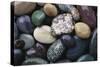 Pacific Northwest USA, Colorful River Rocks-Michele Westmorland-Stretched Canvas