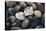 Pacific Northwest USA, Colorful River Rocks-Michele Westmorland-Stretched Canvas