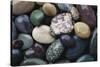 Pacific Northwest USA, Colorful River Rocks-Michele Westmorland-Stretched Canvas