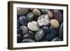 Pacific Northwest USA, Colorful River Rocks-Michele Westmorland-Framed Photographic Print