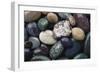 Pacific Northwest USA, Colorful River Rocks-Michele Westmorland-Framed Photographic Print