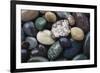 Pacific Northwest USA, Colorful River Rocks-Michele Westmorland-Framed Photographic Print