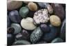 Pacific Northwest USA, Colorful River Rocks-Michele Westmorland-Mounted Photographic Print