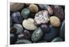 Pacific Northwest USA, Colorful River Rocks-Michele Westmorland-Framed Photographic Print