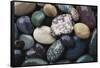 Pacific Northwest USA, Colorful River Rocks-Michele Westmorland-Framed Stretched Canvas