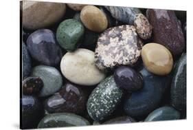 Pacific Northwest USA, Colorful River Rocks-Michele Westmorland-Stretched Canvas