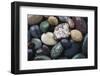 Pacific Northwest USA, Colorful River Rocks-Michele Westmorland-Framed Photographic Print