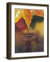 Pacific Northwest, USA-Stuart Westmoreland-Framed Photographic Print