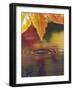 Pacific Northwest, USA-Stuart Westmoreland-Framed Photographic Print