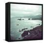 Pacific Ocean Along the Coast of Oregon-Eliot Elisofon-Framed Stretched Canvas