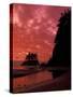 Pacific Ocean and Sunset, Olympic National Park, Washington, USA-null-Stretched Canvas