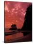 Pacific Ocean and Sunset, Olympic National Park, Washington, USA-null-Stretched Canvas