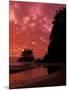 Pacific Ocean and Sunset, Olympic National Park, Washington, USA-null-Mounted Photographic Print