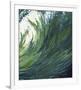 Pacific Ocean Wave-Margaret Juul-Framed Art Print