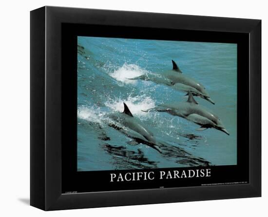 Pacific Paradise 3 Dolphins Art Photo-null-Framed Mini Poster