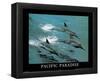 Pacific Paradise 3 Dolphins Art Photo-null-Framed Mini Poster