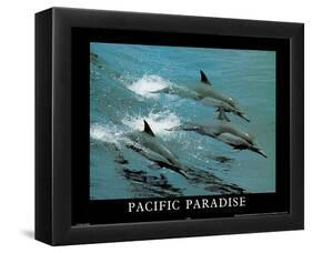 Pacific Paradise 3 Dolphins Art Photo-null-Framed Mini Poster