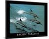 Pacific Paradise 3 Dolphins Art Photo-null-Mounted Mini Poster